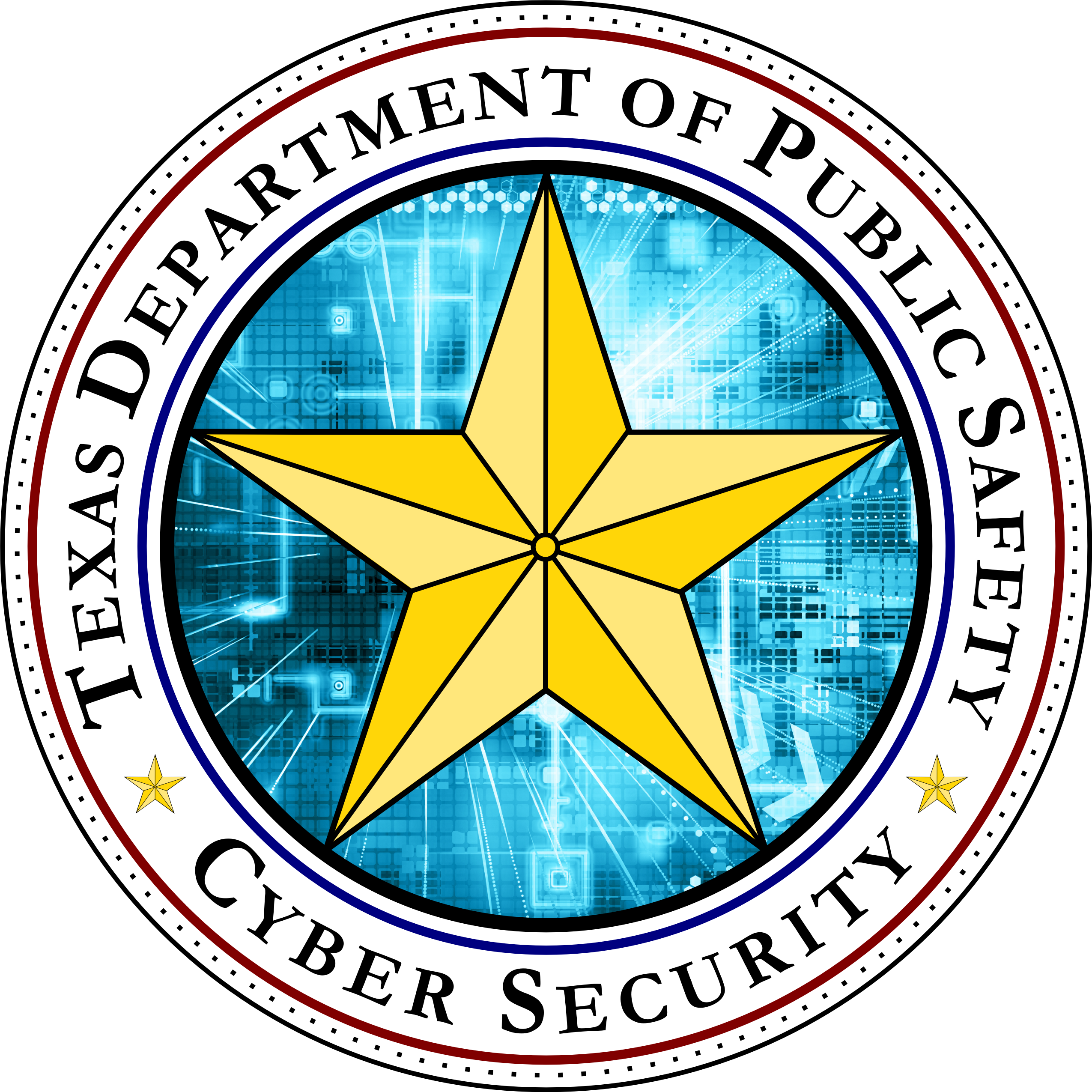 Texas Department of Public Safety -Cyber Security Logo