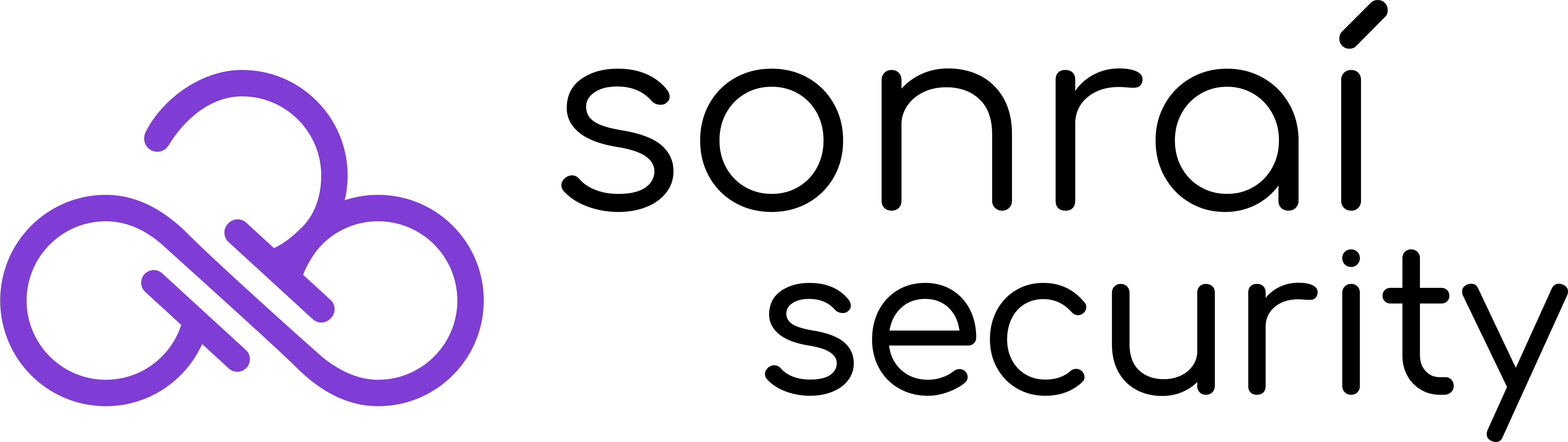 Sonrai Security Logo